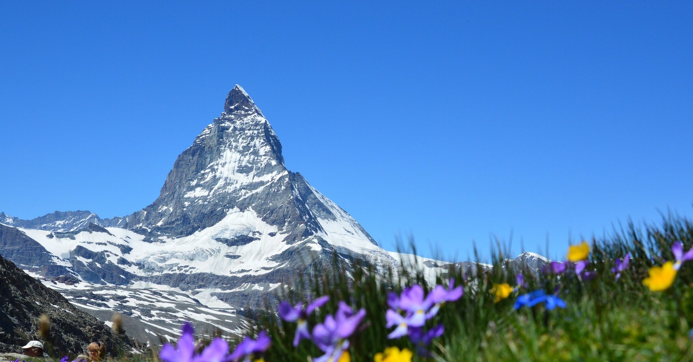 A stunning view of the Matterhorn adorned by vibrant wildflowers under a clear blue sky.